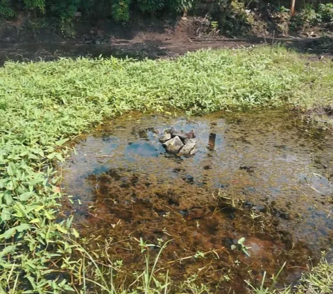 Puluhan Sumur Zaman Majapahit Ditemukan, Diyakini sebagai Tempat Jebakan Kuda