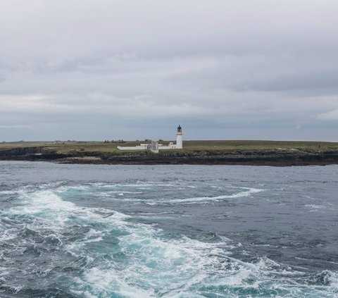 Mystery of the Death Zone in the Sea, Giant Whirlpool with a Diameter of 160 Km