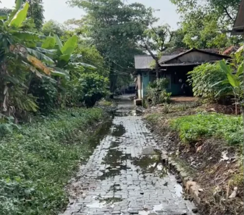 Potret Kampung Mati di Jakarta Timur, Pernah Ditinggali Pengungsi dari Vietnam