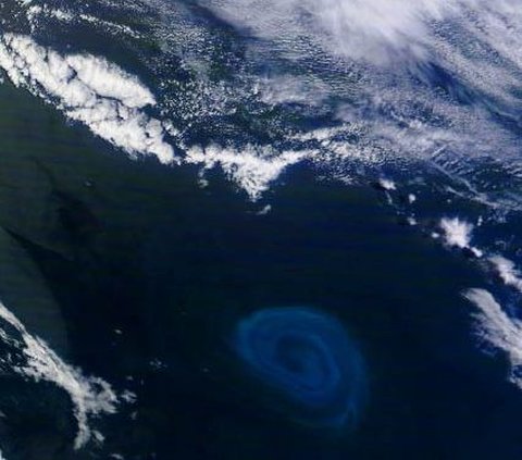 Mystery of the Death Zone in the Sea, Giant Whirlpool with a Diameter of 160 Km