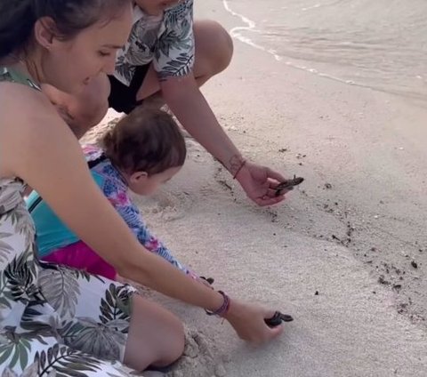 10 Momen Lucu Baby Djiwa Anak Nadine Chandrawinata saat Melepas Tukik ke Laut, Lihat Reaksinya Gemesin Banget!