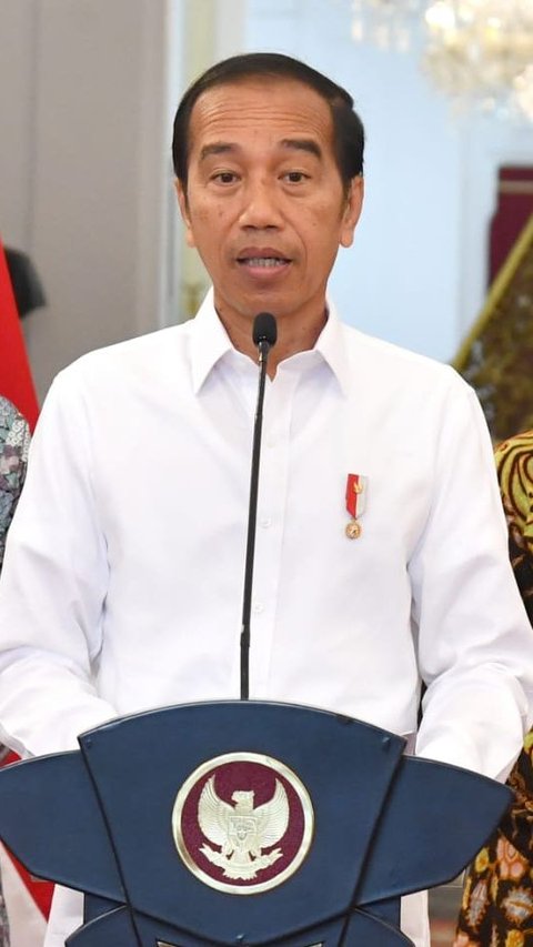 Titah Jokowi ke Menteri PUPR: Normalisasi Ciliwung Harus Segera Rampung