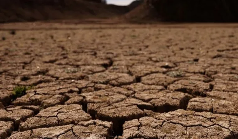 Fenomena El Nino atau pemanasan suhu di Indonesia telah merenggut korban jiwa.