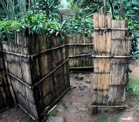 Intip Uniknya Tempat Mandi Warga Baduy, Baknya dari Pohon dan Airnya Dialirkan Lewat Bambu