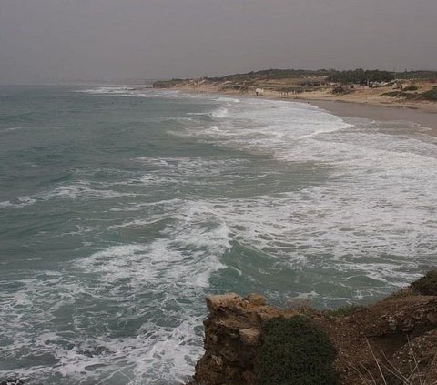 Dikutip dari Newsweek, patung ini ditemukan Lydia Marner (74) di Pantai Palmachim, Israel selatan, sekitar 27 kilometer di selatan Tel Aviv.