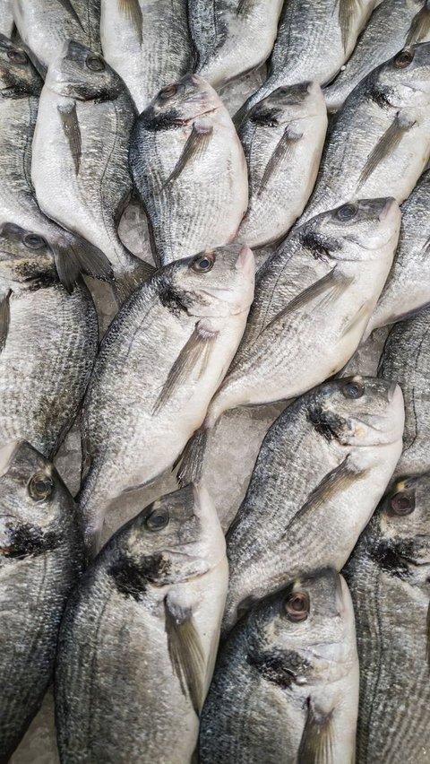 Ikan tuna, udang, bahkan teri nasi  memiliki kandungan yodium yang berfungsi sebagai pembentuk hormon tiroid, yang berfungsi untuk proses perkembangan normal otak dan saraf bayi.