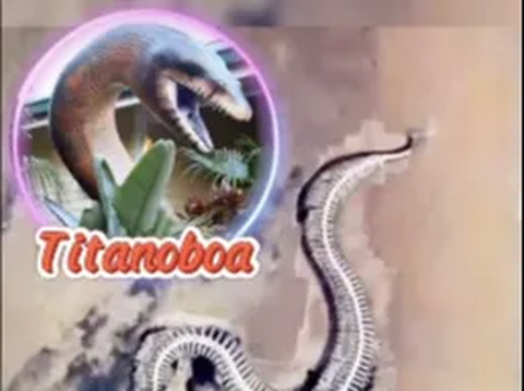 Benarkah Ular Titanoboa?