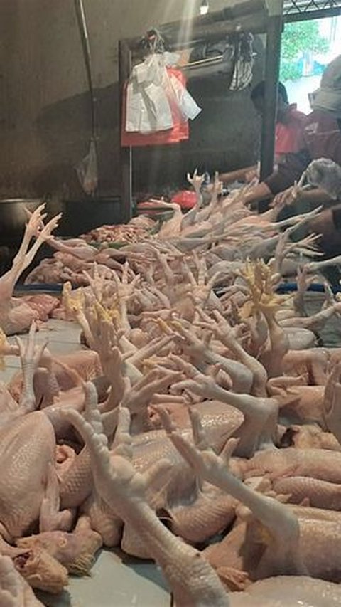 Harga Ayam Potong Naik Usai Iduladha, Pedagang di Pasar Bogor Keluhkan Turunnya Konsumen hingga 50 Persen