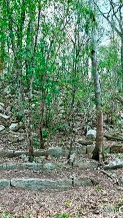 Arkeolog Temukan Kota Hilang Bangsa Maya di Tengah Hutan Meksiko, Begini Wujudnya