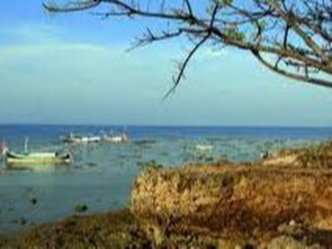 Eksotisme Pulau Giliyang Sumenep, 'Surga' Alam dengan Kandungan Oksigen Terbaik Kedua di Dunia