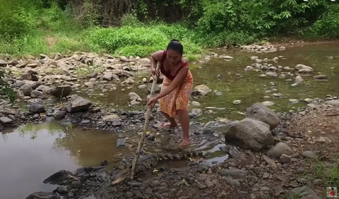 Wanita Pemberani Tangkap Buaya di Sungai