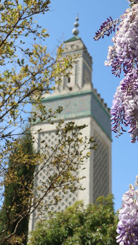 Masjid Raya Paris juga merupakan salah satu tempat terbaik untuk melihat tumbuhan bunga wisteria.