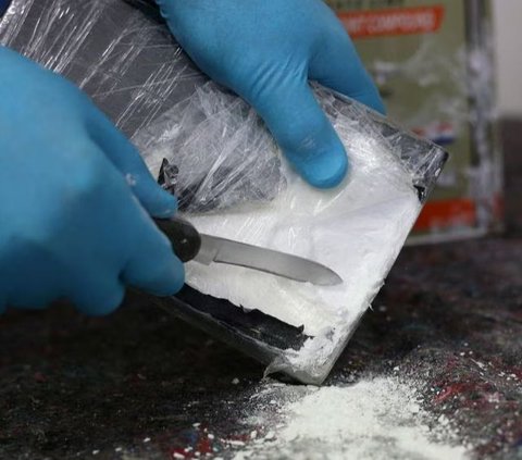 Petugas Secret Service menemukan kokain itu pada Minggu malam sekitar pukul 18.00. Karena dia tidak mengetahui benda apa yang ditemukannya maka situasi keamanan di Gedung Putih sempat dalam keadaan siaga.