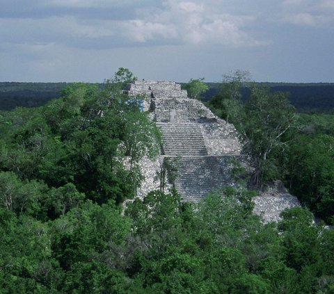 Kota kuno ini kecil, luasnya hanya kurang dari setengah mil atau sekitar 8 kilometer.<br /><br />Dikutip dari laman Mirror, Kamis (6/7), situs ini berada di belantara Semenanjung Yucatan, di negara bagian Campeche, Meksiko.