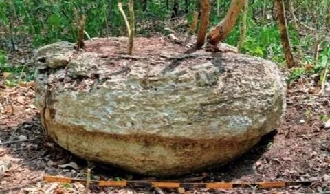 Para peneliti meyakini beberapa bangunan berfungsi sebagai pasar dan untuk ritual masyarakat.<br /><br />Sprajc menjelaskan, tiga alun-alun yang berada di tenggara area yang memiliki bangunan megah dikelilingi oleh teras.