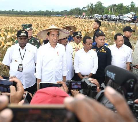 Pakai Caping, Jokowi Tinjau Ladang Jagung di Food Estate Kabupaten Keerom