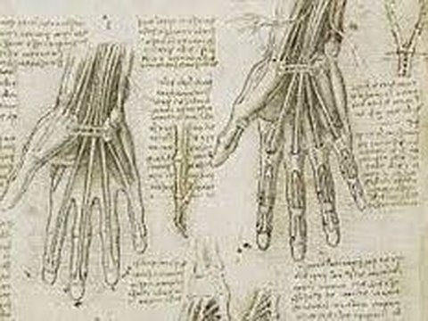 Jasa Leonardo da Vinci Terhadap Perkembangan Dunia Kesehatan