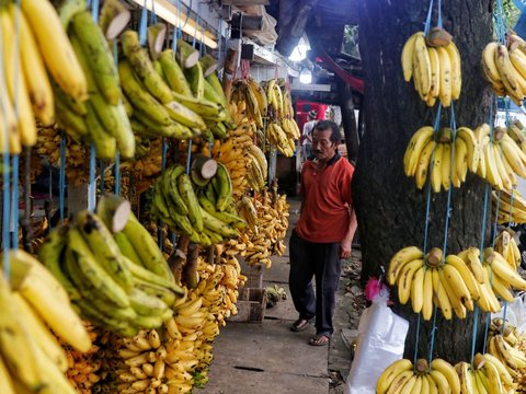 Mengapa Pisang Bentuknya Melengkung? Ini Jawaban Sains