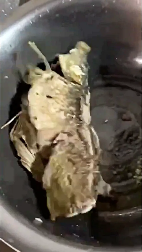 Video Viral Ikan yang Sudah Mati Menggelepar bahkan Sesudah Digoreng, Apa Penyebabnya?