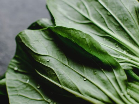 8 Manfaat Pakcoy untuk Kesehatan, Bantu Cegah Penyakit Jantung