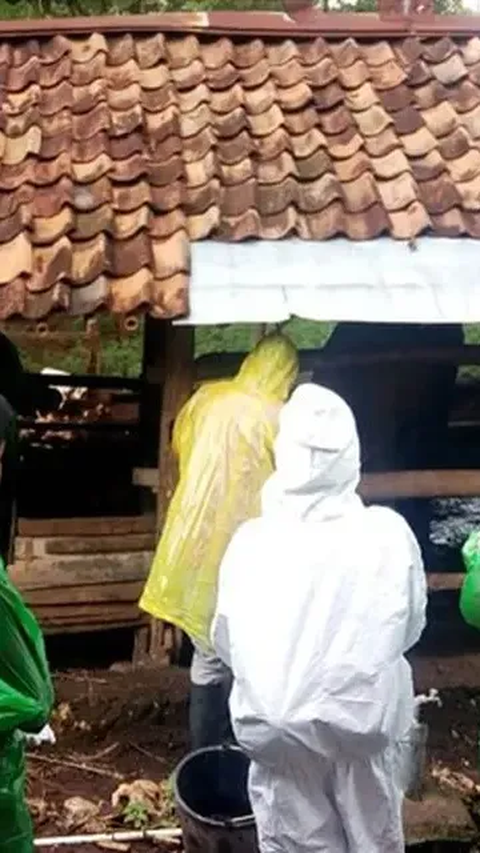 Kronologi Warga Gunungkidul Meninggal karena Antraks