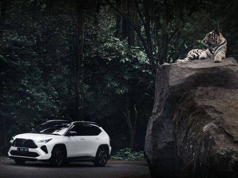 Tes Konsumsi BBM Toyota Yaris Cross Hybrid di Surabaya-Bromo-Malang