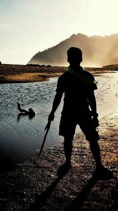 Eksotisme Pantai Sukamade, Tempat Bertelur Terbaik Penyu Raksasa Hindia dan Pasifik