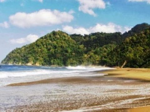 Eksotisme Pantai Sukamade, Tempat Bertelur Terbaik Penyu Raksasa Hindia dan Pasifik
