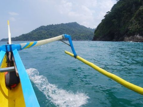 Eksotisme Pantai Sukamade, Tempat Bertelur Terbaik Penyu Raksasa Hindia dan Pasifik