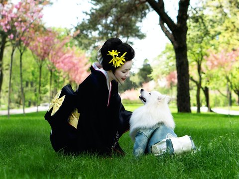 Contoh Ucapan Selamat Sore Bahasa Jepang, Lengkap Beserta Artinya