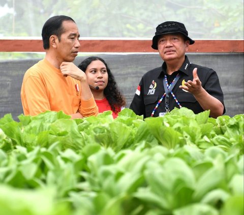 Jokowi Klaim Situasi Papua Aman: Jangan Masalah Kecil Dibesar-besarkan