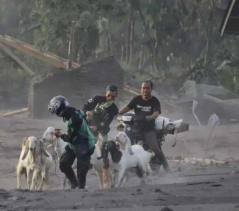 Penyebab Banjir Lahar Dingin yang Perlu Diwaspadai, Begini Cara Mengantisipasinya