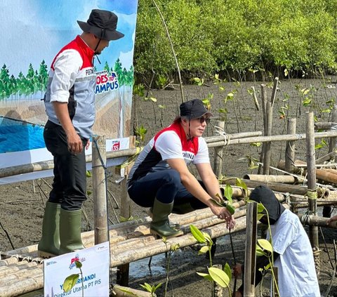 PT Pertamina International Shipping (PIS) melaksanakan aksi hijau sebagai wujud komitmen penerapan ESG (Environmental, Social, and Governance) dengan menanam  bibit mangrove di area pesisir Politeknik Ilmu Pelayaran (PIP) Makassar.