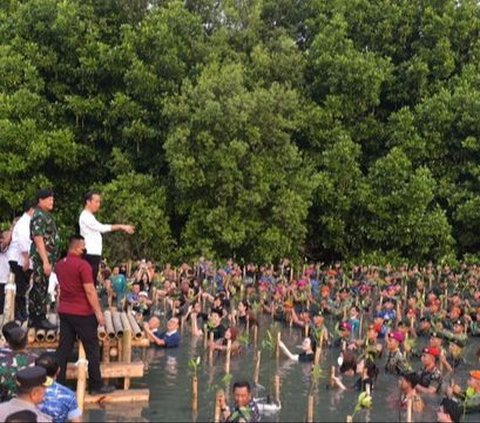 Potret Penanaman 1.000 Mangrove untuk Kurangi Emisi Karbon dan Bisnis Berkelanjutan