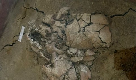 Di Situs Batujaya, Para Peneliti Juga Menemukan Beberapa Kerangka Manusia Buni.