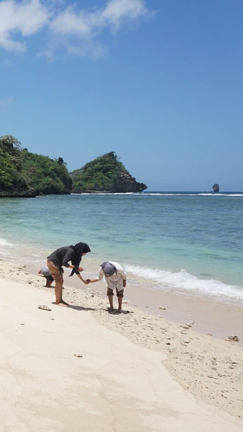 Rombongan dijemput tour leader atas nama Pendik (Malang Travel) dan Bayu (Ciliwung Camp) melakukan aktivitas dengan tenda yang telah disediakan.<br /><br />Sabtu (8/7) sekira pukul 08.00 WIB, rombongan sebanyak 8 orang berenang di lokasi kejadian. Rombongan tersebut di antaranya Anna Brieva Ramirez (24) warga Spanyol dan Janna Olivia Soland (24) asal Swis.