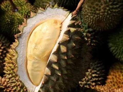 Beri Makna Indonesia, Program Desa BRIlian Angkat Potensi Ekonomi Kampung Durian