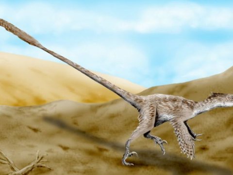 3. Velociraptor