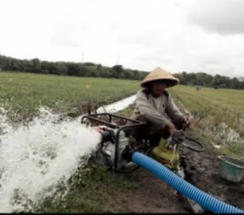 Bendungan Katulampa Kering, Air Diprioritaskan untuk Pertanian