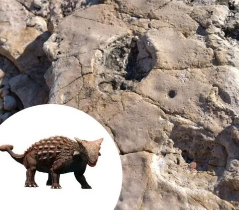 Jalan-Jalan di Pantai, Pria Ini Temukan Jejak Kaki Dinosaurus Berusia 100 Juta Tahun, Jarinya Terlihat Jelas