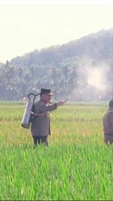 Gagah Berseragam Polri, Intip Momen Jenderal Bintang 1 Besan Ketua MPR Turun ke Sawah Nyemprot Padi