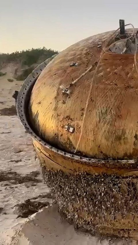 The Mysterious Object On The Australian Beach Has Been Identified ...