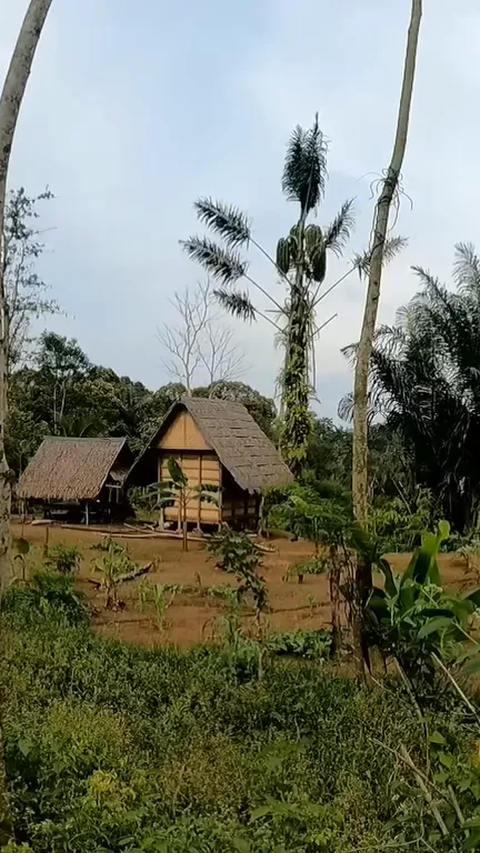 Tak Banyak Diketahui, Begini Cara Suku Baduy Memakamkan Warganya