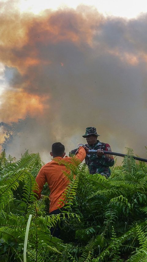 Zarman juga mengimbau warga untuk segera menelepon call center BPBD Pekanbaru di nomor 08117651464 apabila ada kebakaran lahan.