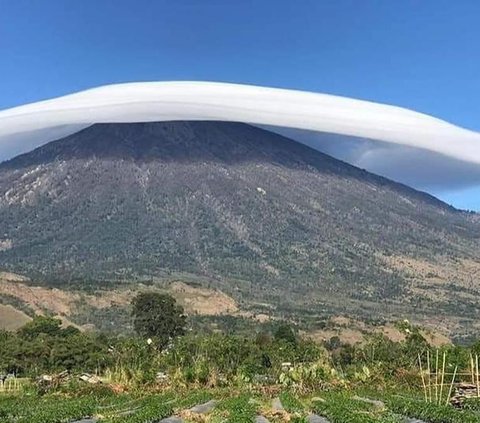 Ketika melewati rute Sembalun, pendaki akan lebih banyak melewati padang savana. Sedangkkan jalur Senaru akan banyak melewat hutan hujan tropis yang menjadi khas lansekap Indonesia.