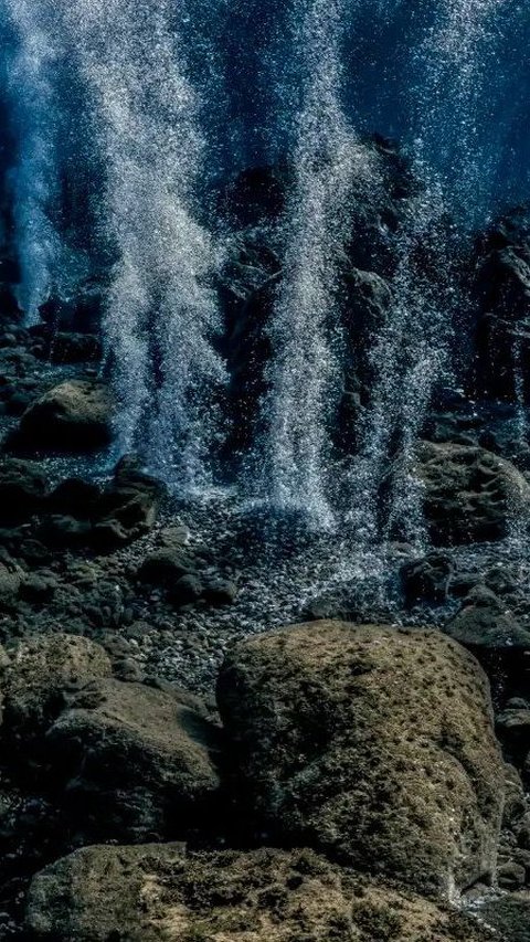 Ikan Pertama yang Bisa Berjalan Ini Simpan Satu Juta Telur di Gunung Api Bawah Laut