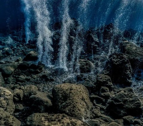 Cherisse Du Preez, seorang ahli biologi kelautan dari Fisheries and Oceans Canada, dan peneliti utama ekspedisi tersebut, memperkirakan jumlah telur skate di gunung laut antara 100.000 dan satu juta.