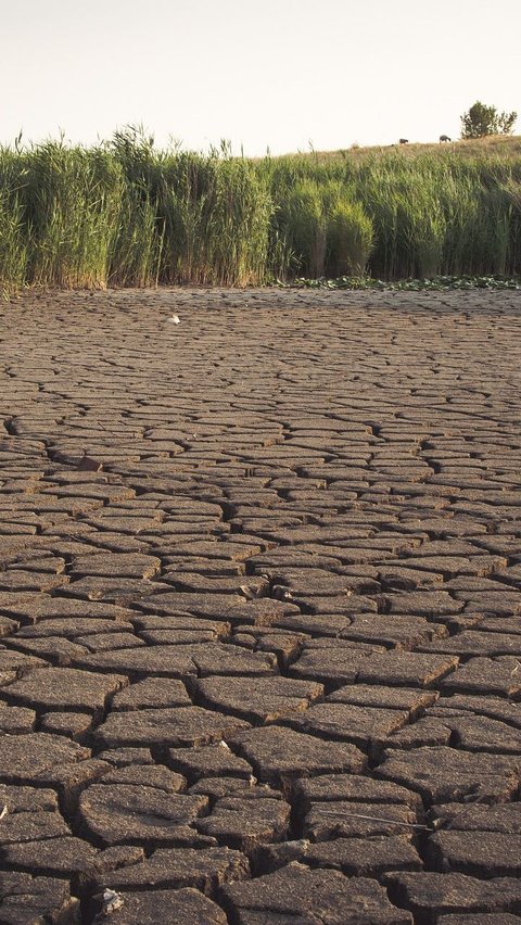 Dampak Kekeringan dari El Nino Banyak Dirasakan Warga, BPBD Lebak Siapkan Penanganan Ini