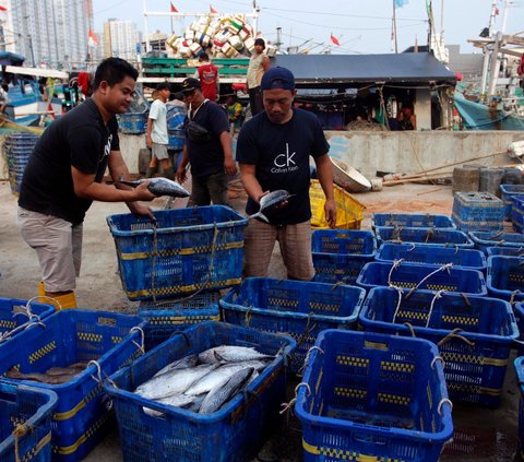 PT Perikanan Indonesia sudah mengantongi permintaan ekspor setiap bulan untuk komoditas ikan tuna loin, cakalang, gurita dan ikan layang.