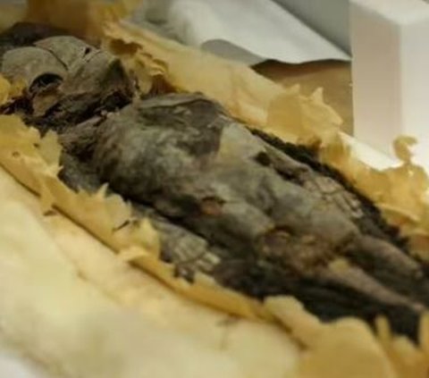 Ditemukan Dua Mumi Anak Kecil di Makam Firaun Tutankhamun, Ternyata Ini Identitasnya